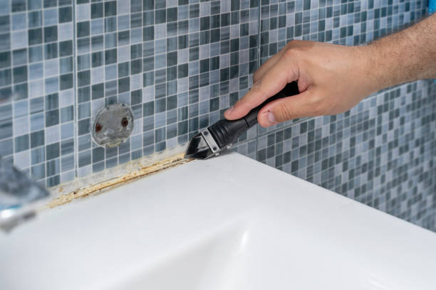 Trusted Bridgeville, DE Mold Removal Experts