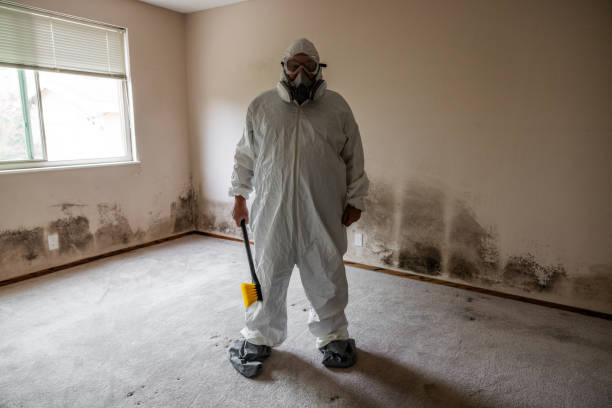 Best Mold Testing  in Bridgeville, DE